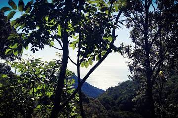 Gîte pour 2 personnes, avec jardin dans Cap Corse