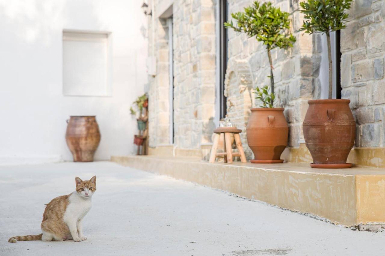 Villa Mira in Kamilari, Iraklio-Heraklion und Umgebung