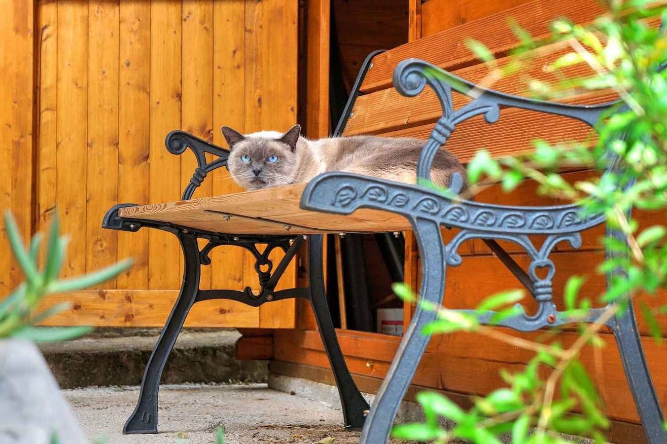 Ganze Ferienwohnung, Ferienwohnung mit Terrasse in Crikvenica, Primorje-Gorski Kotar