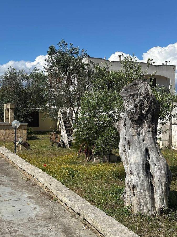 B&b per 4 persone, con giardino, con animali domestici a Gallipoli