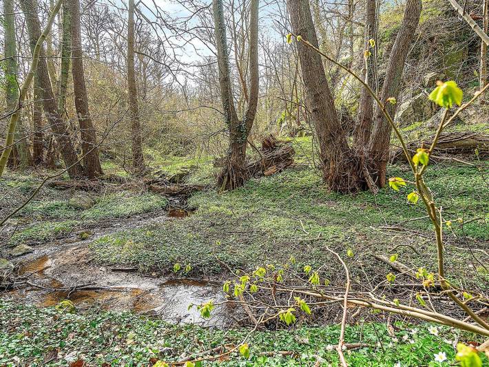 Ferienhaus für 5 Personen, mit Terrasse, kinderfreundlich auf Bornholm - 3