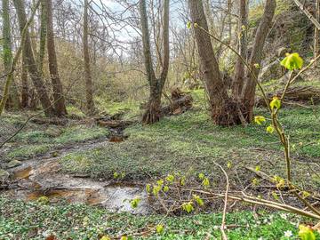Ferieudlejning til 5 Personer i Sandkås, Allinge-Sandvig, Billede 2
