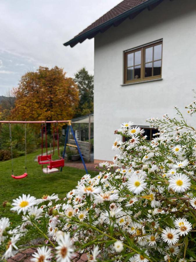 Ferienwohnung für 3 Personen, mit Terrasse und Garten sowie Sauna und Ausblick in Bad Brückenau - 3