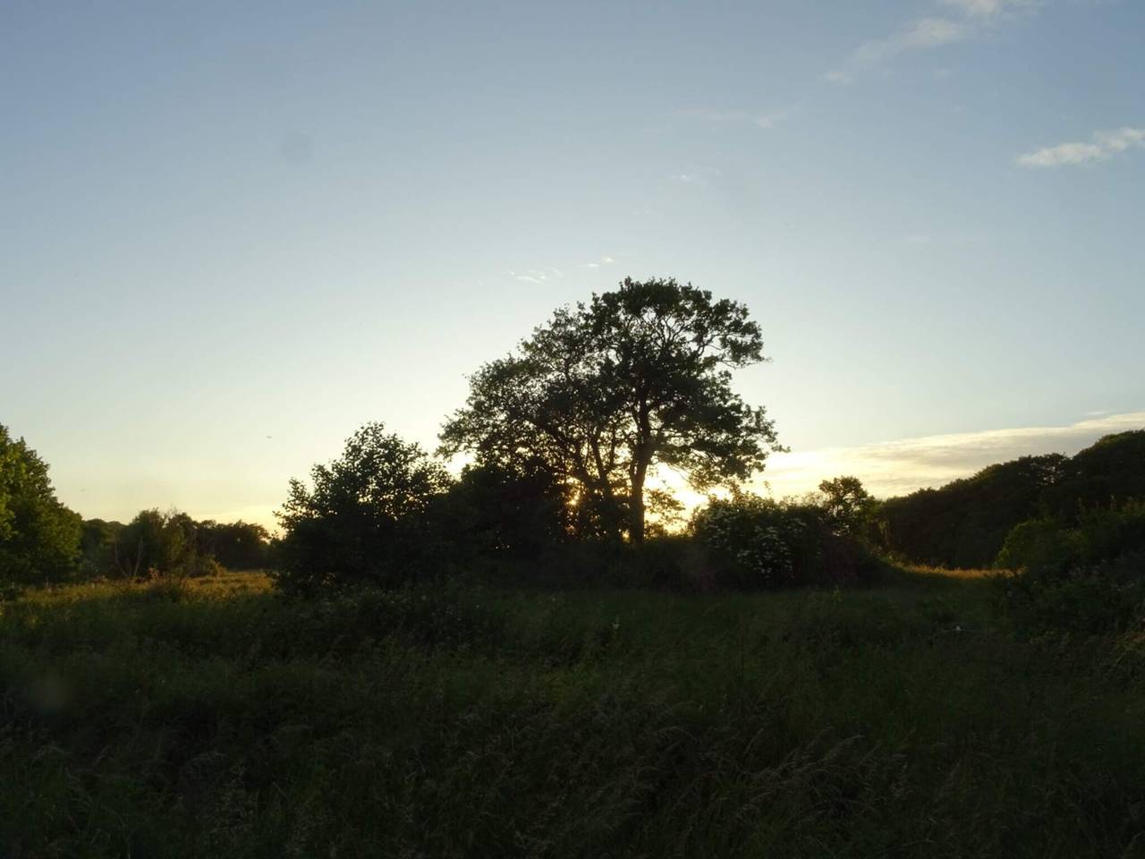 Ruhiger Hüttenurlaub in Ebeltoft in Fuglslev, Ebeltoft
