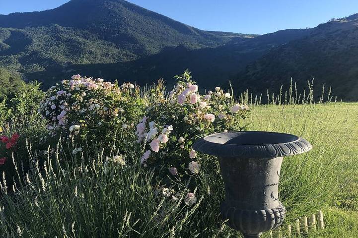 Location de vacances pour 16 personnes, avec jardin à Saint-André-les-Alpes - 4