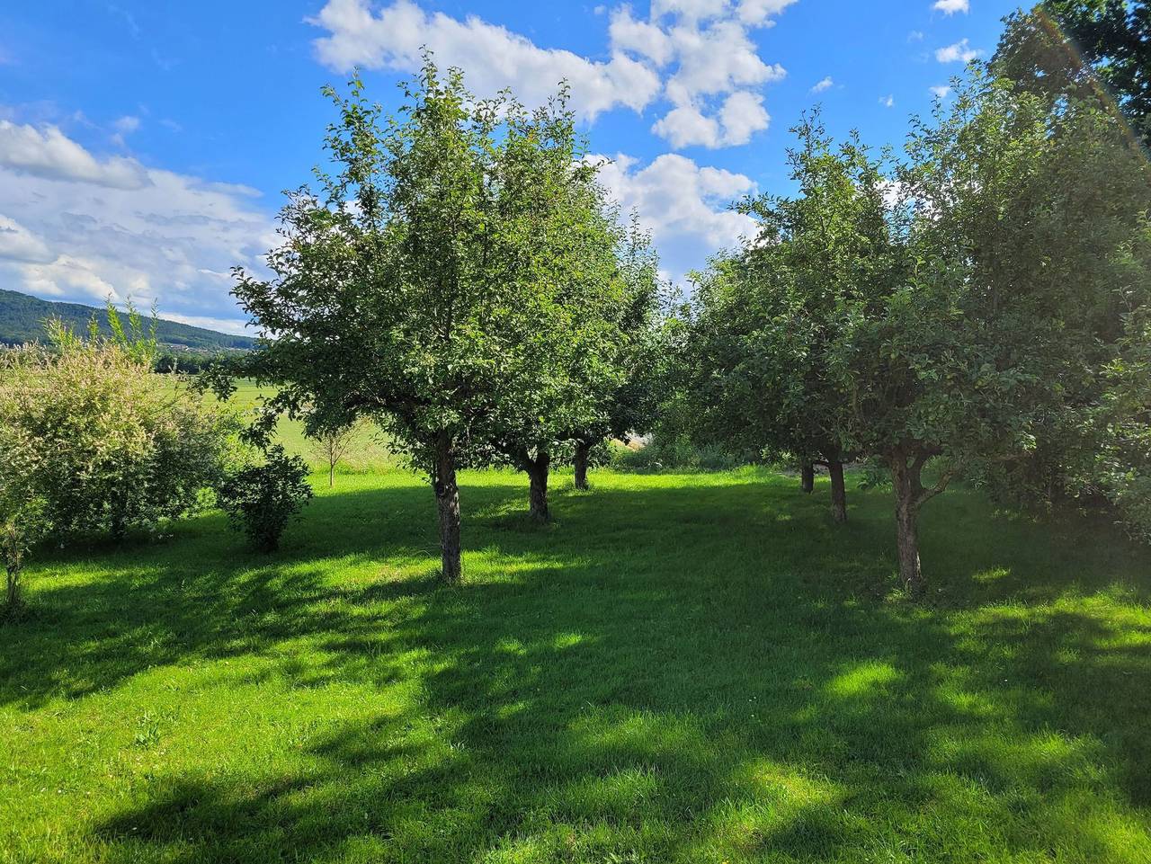 Ganze Ferienwohnung, Ferienwohnung Berg-Anni in Ebermannstadt, Fränkische Schweiz