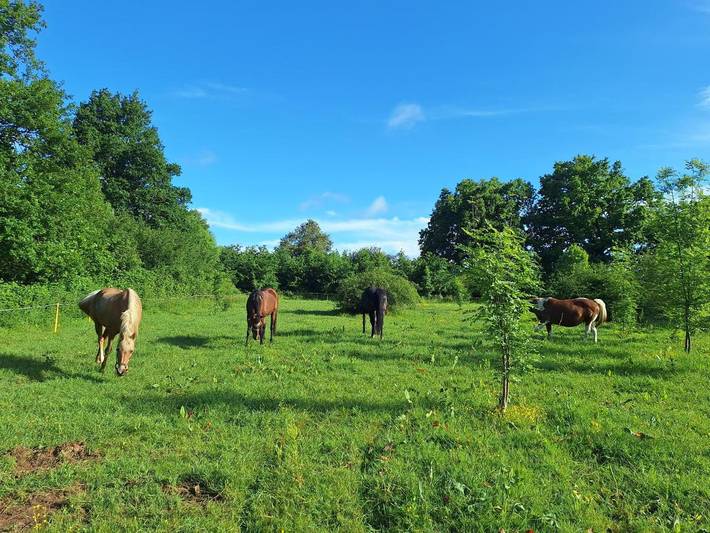 Location de vacances pour 4 personnes, avec jardin et terrasse ainsi que piscine et vue à Saint-Priest-en-Murat - 2