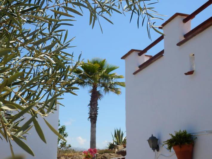 Chambre d’hôte pour 2 personnes, avec piscine ainsi que jardin et vue à Arenas - 2