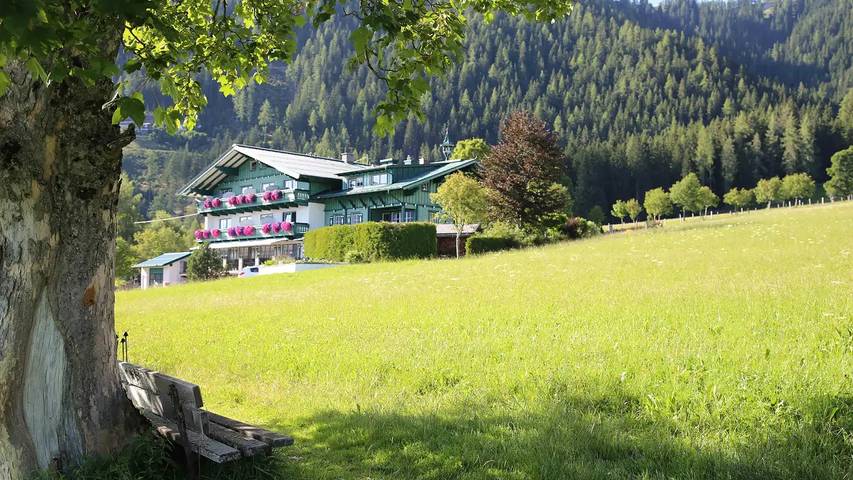 Bauernhof für 5 Personen, mit Garten und Balkon sowie Sauna in Ramsau am Dachstein - 4