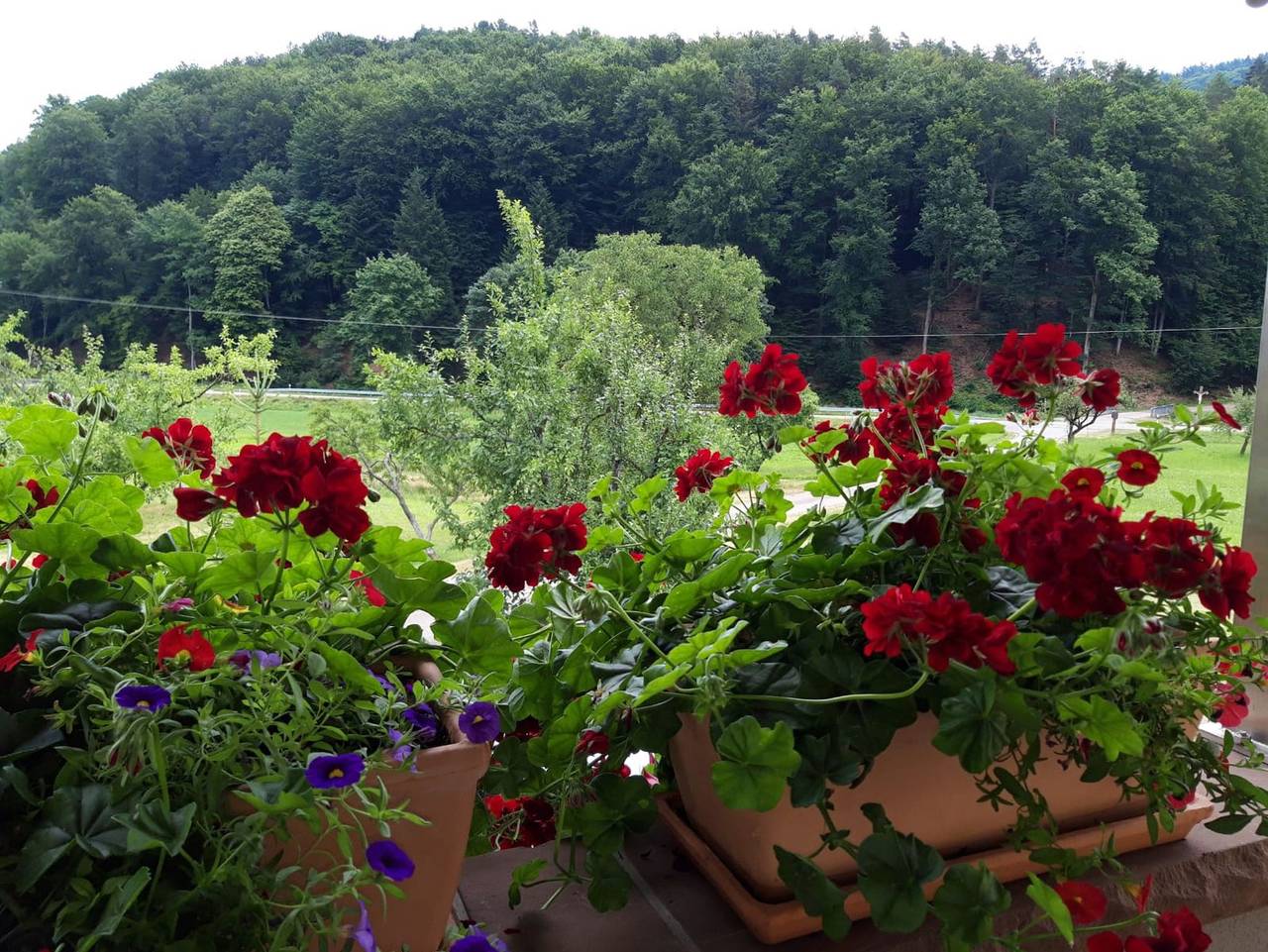 Ganze Ferienwohnung, Offenburger Hof - Ferienwohnung Marlena in Schuttertal, Mittlerer Schwarzwald