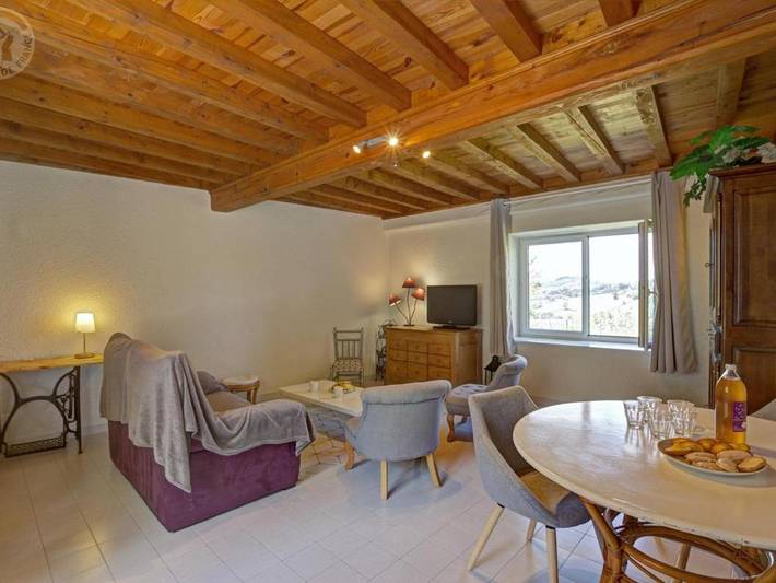 Location de vacances pour 5 personnes, avec piscine et jardin, animaux acceptés à Belmont-de-la-Loire - 3