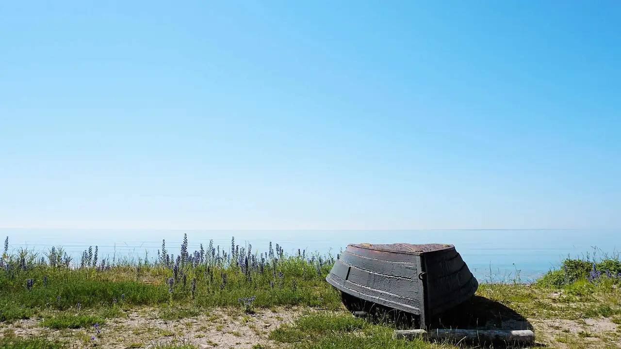 Ferienhaus für 6 Personen (70 m²) in Gotlands Tofta in Tofta, Gotland