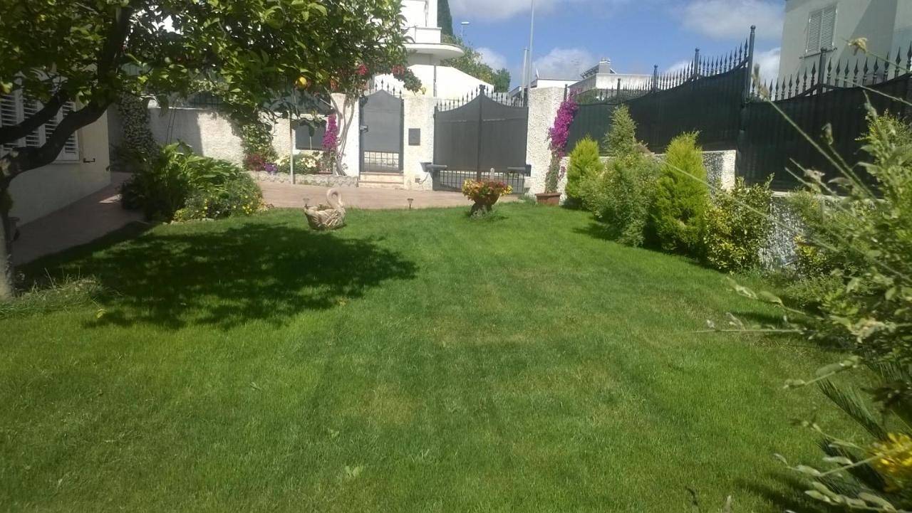 Bed and Breakfast Angolo Fiorito in Civitavecchia, Provincia di Roma