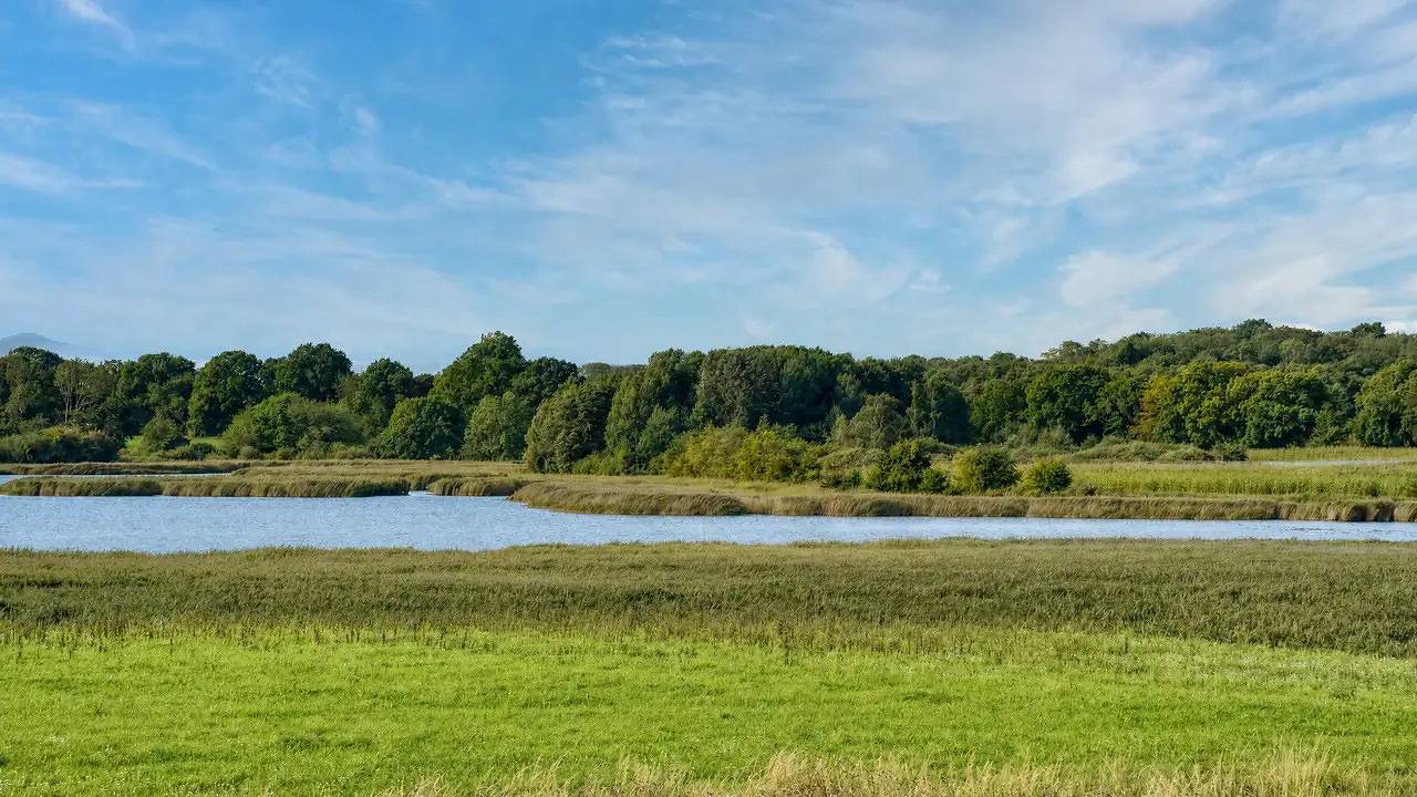 Ganze Ferienwohnung, Ferienwohnung für 3 Personen (32 m²) in Putbus in Wreechen, Putbus