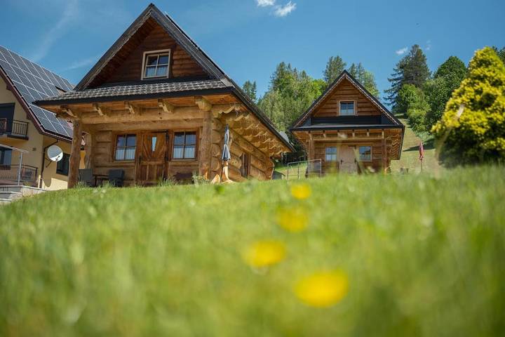 Apartament wakacyjny dla 6 osób, z widok i ogród w Krościenko nad Dunajcem