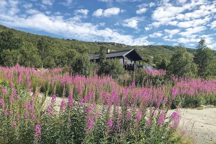 Maison de vacances pour 7 personnes, avec Jardin dans Eidfjord