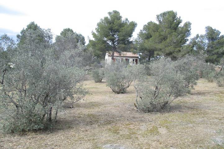 Maison de vacances pour 4 personnes, avec terrasse et jardin, animaux acceptés - 1