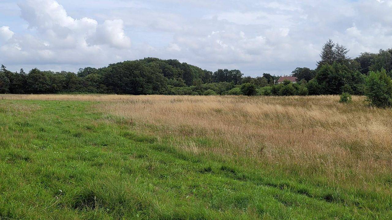 Ferienhaus für 5 Personen (56 m²) in Hovborg in Hovborg, Vejen