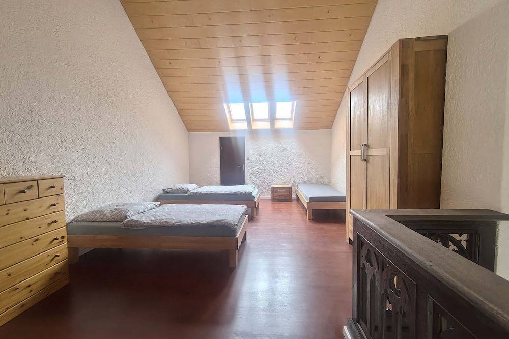 Ganze Wohnung, Traumhafte Maisonette 1 Og, im Villa Uni Mainz in Mainz, Rheinhessen