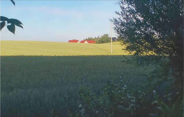 Hus för 6 Personer med trädgård in Svenska Östersjön
