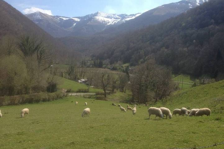 Location de vacances pour 5 personnes, avec balcon et jardin à Louvie-Juzon