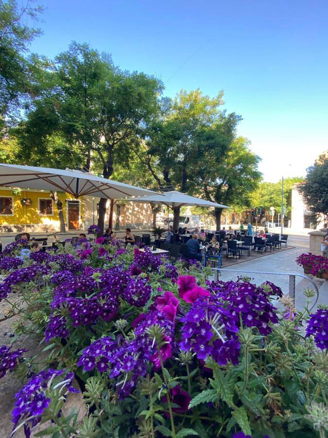 Chambre d’hôte pour 2 personnes, avec terrasse à Alghero - 3