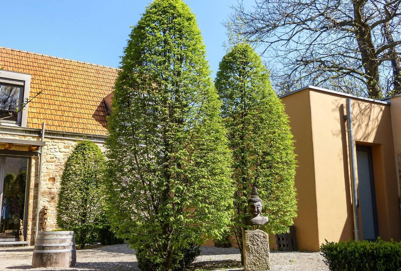 Ganze Ferienwohnung, Haus Mandelblüte in Neustadt an der Weinstraße, Pfälzer Rheinebene