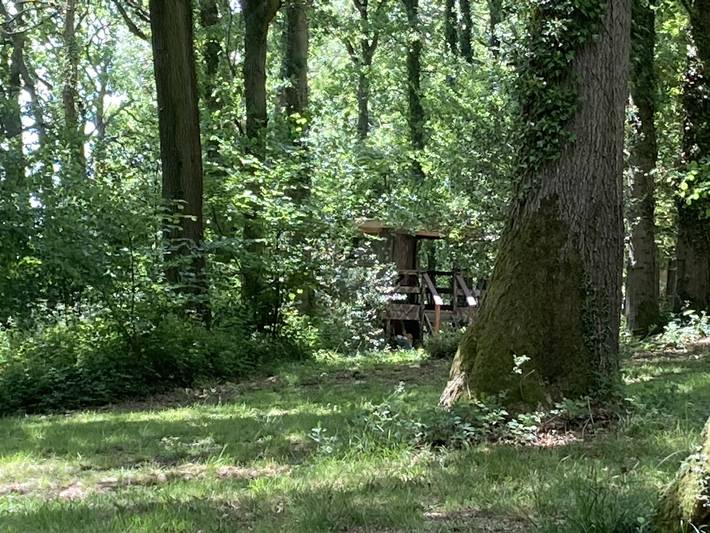 Tipi für 3 Personen, mit Garten, mit Haustier in England - 4