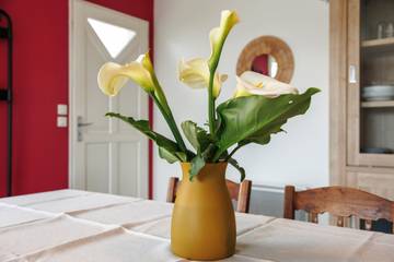 Ferme pour 6 Personnes dans Libourne, Région de Libourne, Photo 2