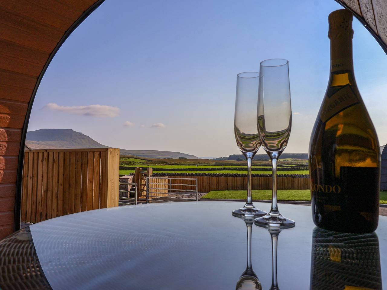 Wren in Yorkshire Dales National Park