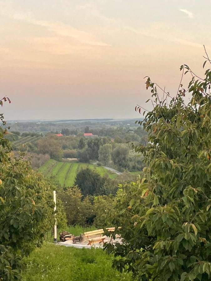 Jurta Rokitek61 in Sandomierz, Województwo świętokrzyskie