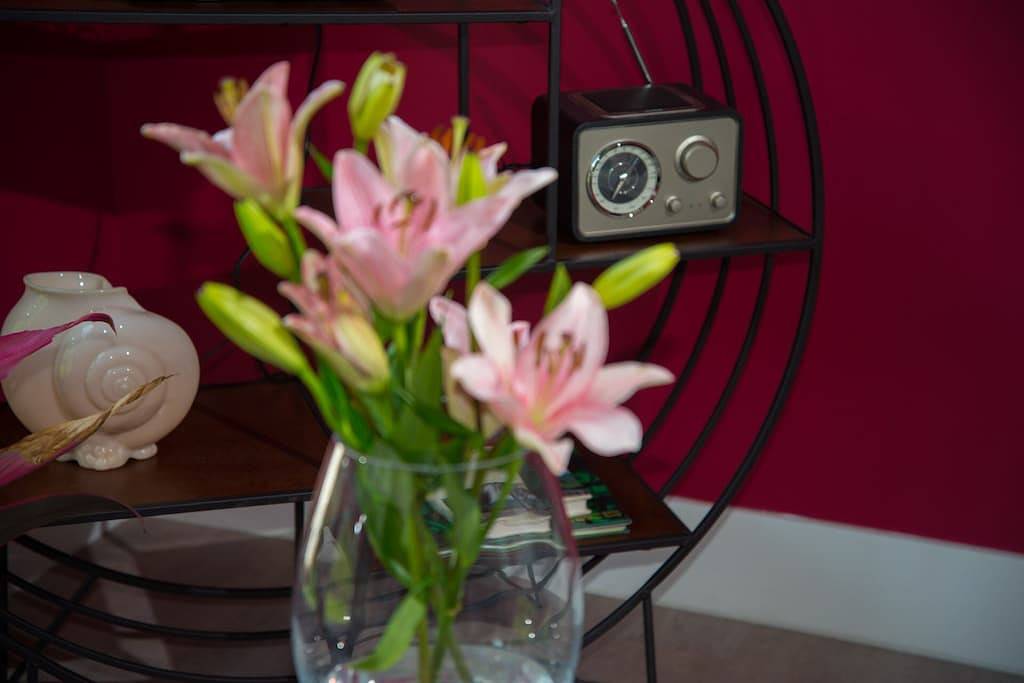 Modernes Landhaus, das haustierfreundlich ist und einen eingezäunten Garten hat. in Lancaster County