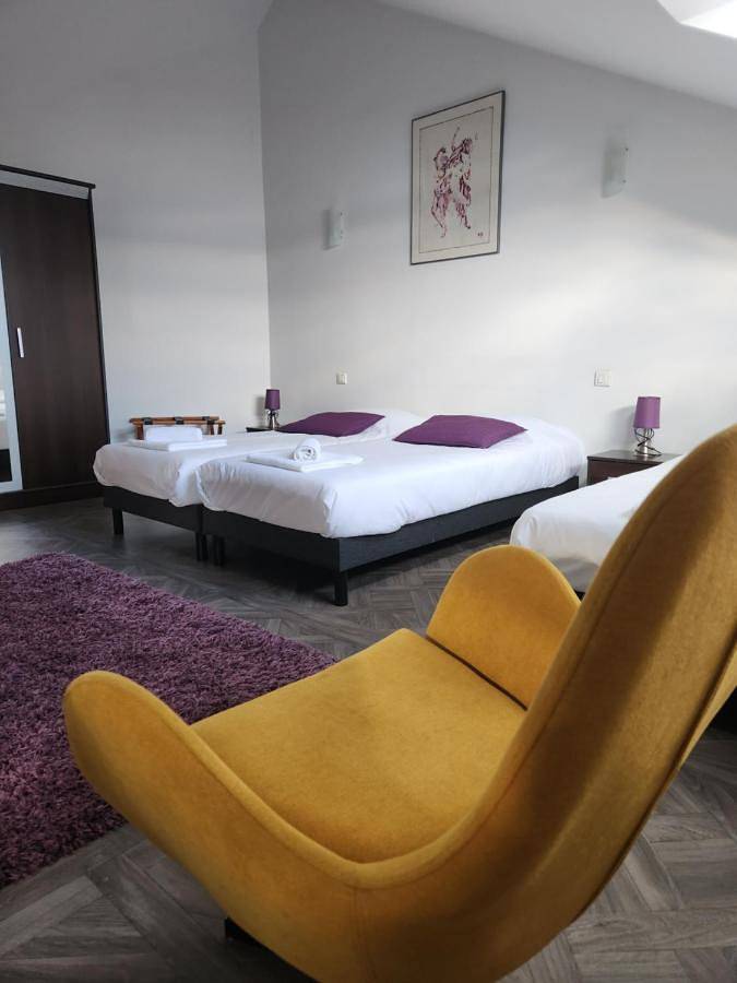 Chambre d’hôte pour 4 personnes, avec jardin à Vierzon - 3