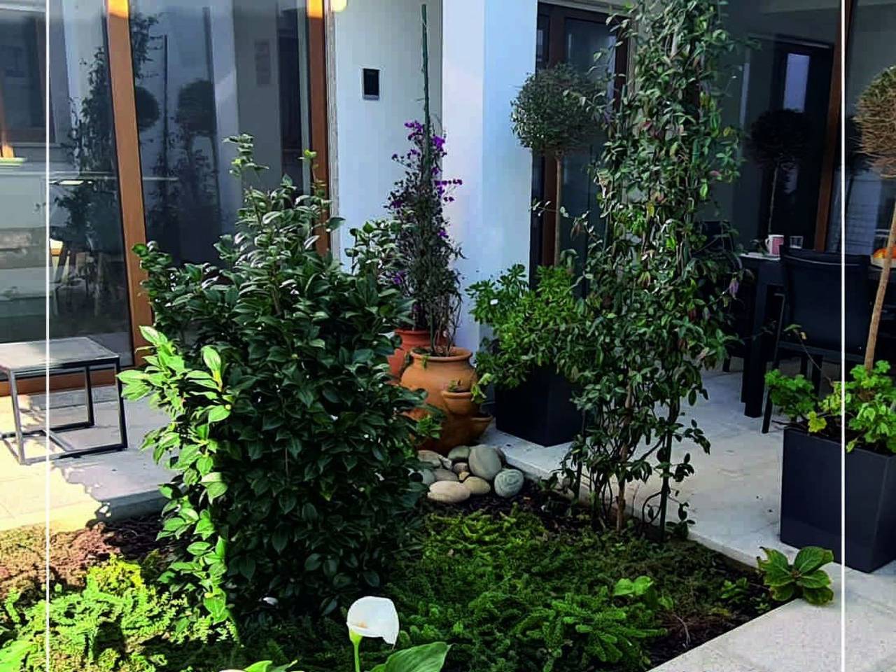 Apartamento entero, Haus der Kamelien in Viana do Castelo, Distrito de Viana do Castelo