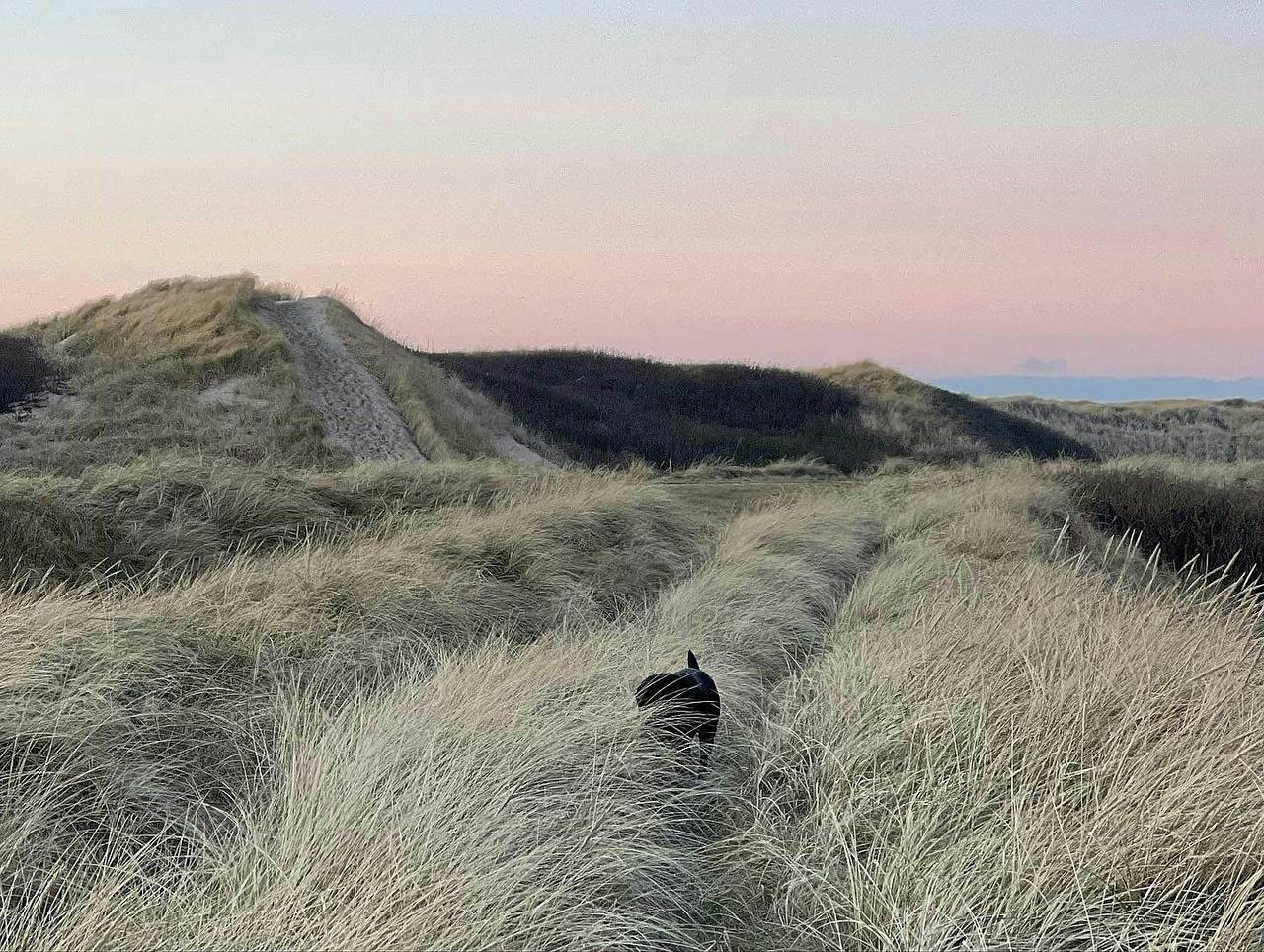 Gemütliches Ferienhaus in Agger nahe der Nordsee in Agger, Limfjord in Nordjütland