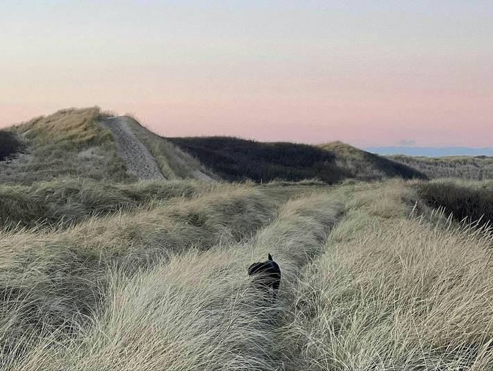 Ferienhaus mit Meerblick für 6 Personen, mit Terrasse und Garten, mit Haustier in Nordwestjütland - 2