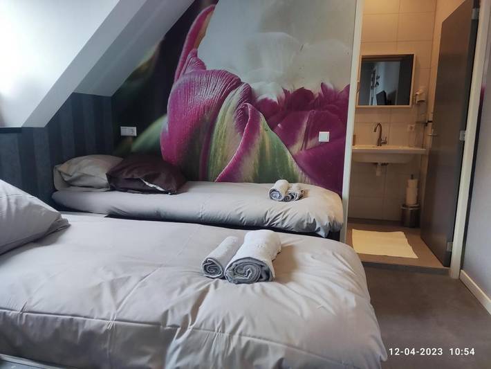 Hotel voor 4 personen in Hillegom