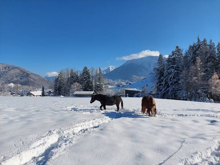 Bauernhaus für 4 Personen, mit Garten, kinderfreundlich in Ruhpolding - 3
