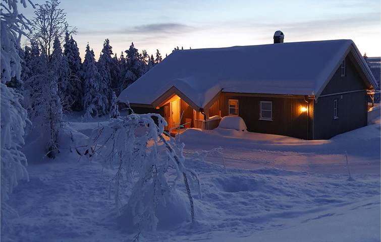 Ferienhaus für 13 Personen mit Terrasse in Hemsedal