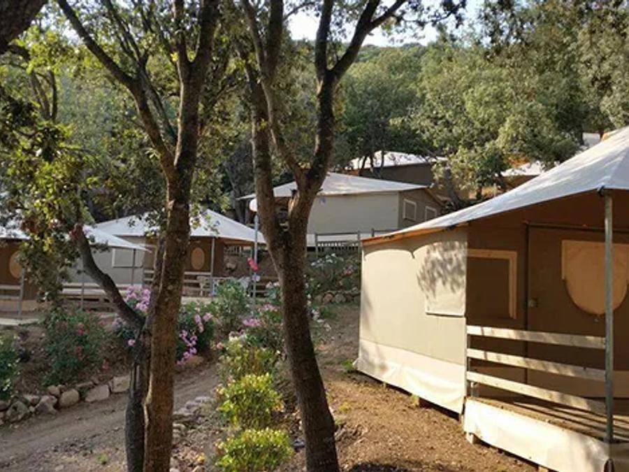 Camping L'Avena - Tenda 5 persone - Alloggio 3/5 pers in Sartena, Sartène e dintorni