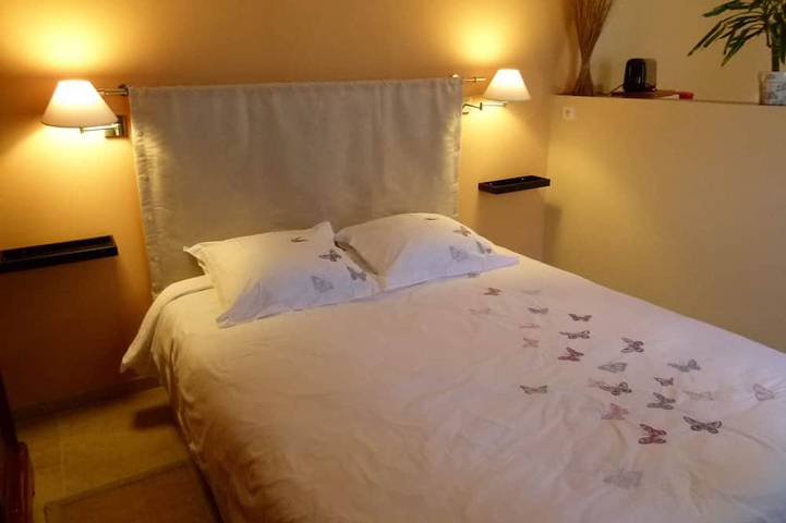 Gîte pour 2 personnes, avec jardin à Vernou-sur-Brenne - 2