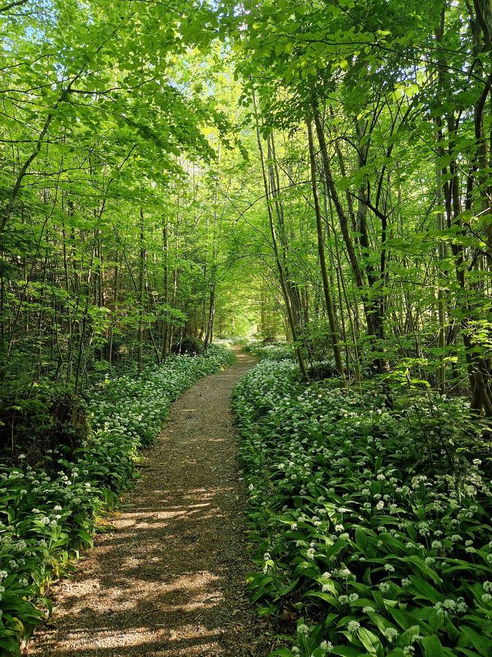 Ferienwohnung für 2 Personen, mit Balkon/Terrasse und Terrasse, kinderfreundlich in Alpenland Tegernsee Schliersee - 3