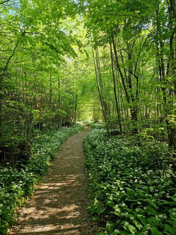 Appartement voor 2 Personen in Bad Feilnbach, Opper-Beieren, Afbeelding 2