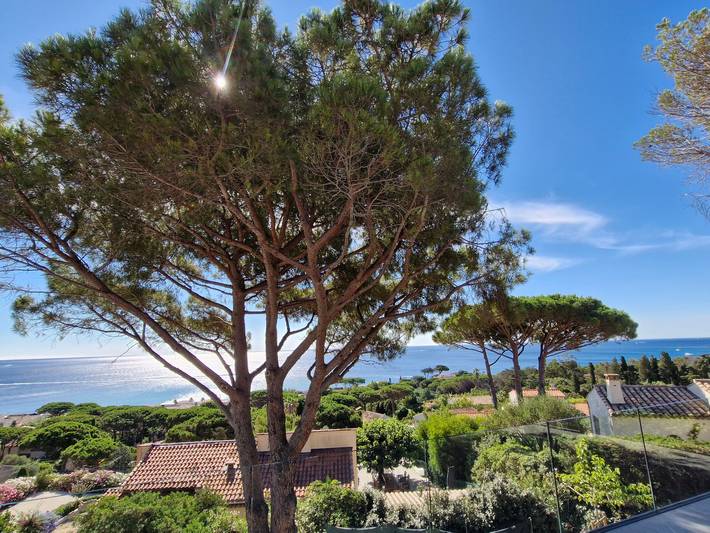 Villa für 18 Personen, mit Terrasse in Sainte-Maxime - 2