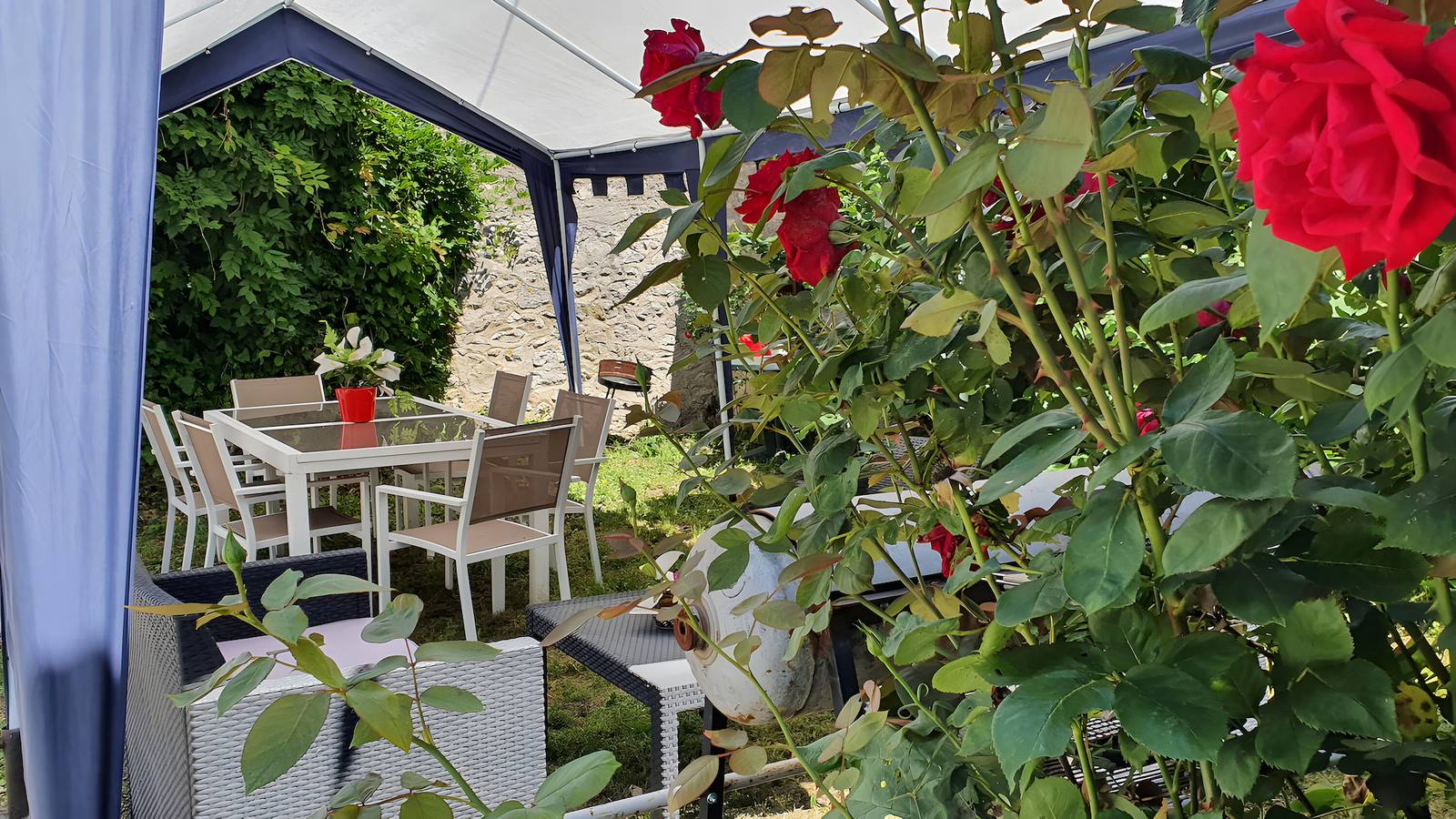 Gästezimmer 'Chambre Cheverny - Le Petit Puits' mit Gemeinschaftsgarten und Wlan in Cheverny, Sologne