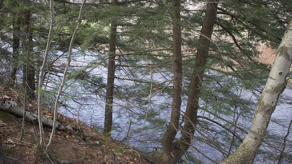 Jetzt für 2019 buchen! Sehen Sie sich die Dark Skies in Cherry Springs an! in Tioga County