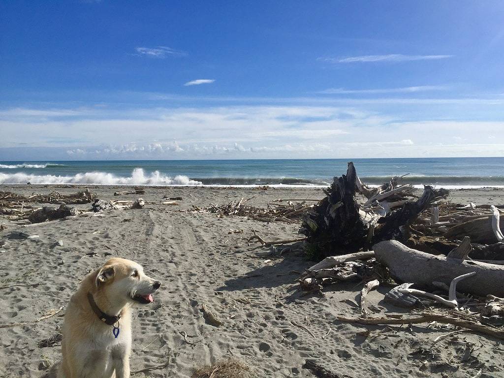 Cameron's Beach Front in Greymouth, West Coast (Neuseeland)