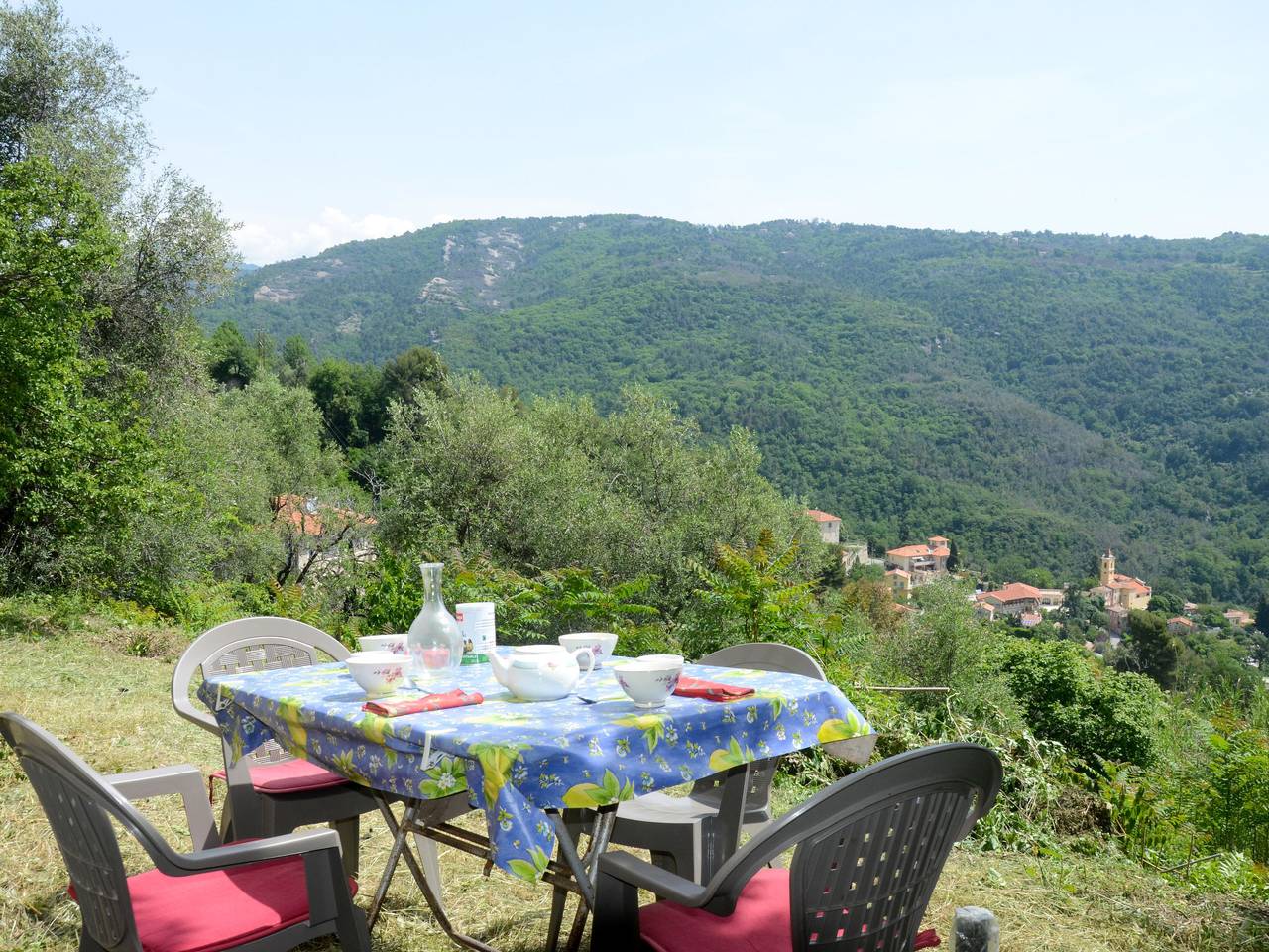 Schöner Stern in Bendejun, Mediterranean Coast (France)