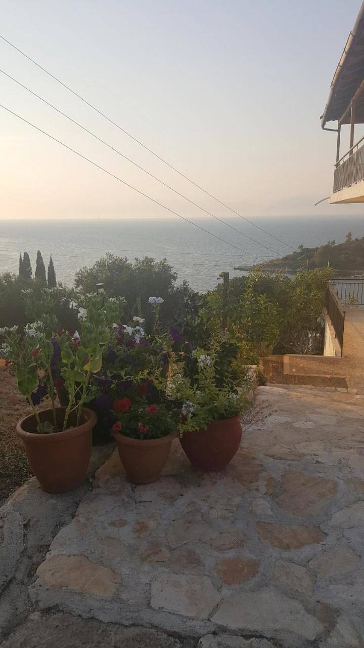 Studio with Sea View, foto 5