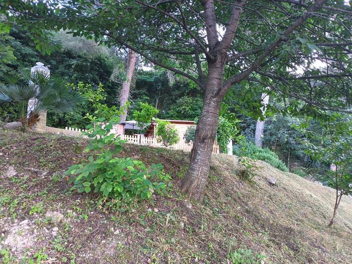 Ferienhaus für 6 Personen, mit Pool und Ausblick sowie Garten in Nizza - 3